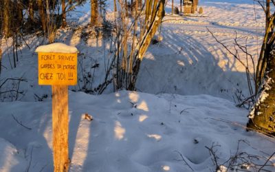 Les pollueurs mis en demeure