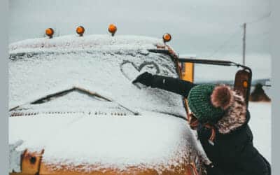 Le givre qui stresse